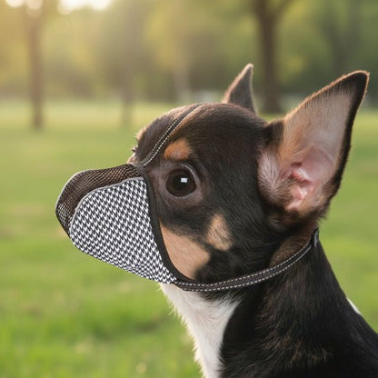 Muselière pour chien | Petites Dents - Jamais sans mon chien