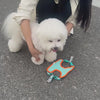 Harnais pour Chien | Anti-Traction Douillet