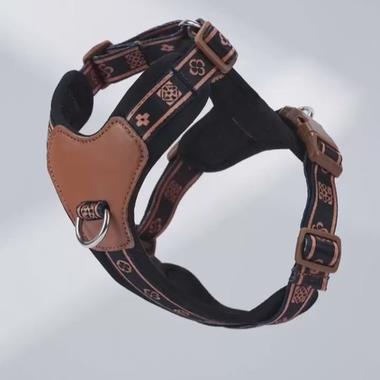 Harnais chien en Y | Cuir Anti-Traction