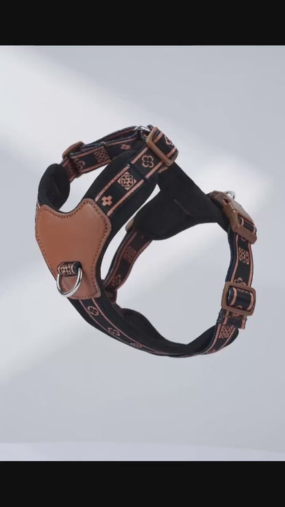 Harnais chien en Y | Cuir Anti-Traction