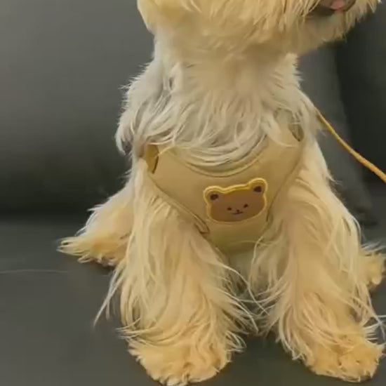 Harnais pour petit Chien | Ourson