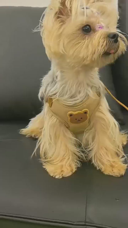 Harnais pour petit Chien | Ourson