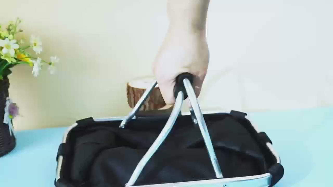 Vélo panier chien | Blackbox