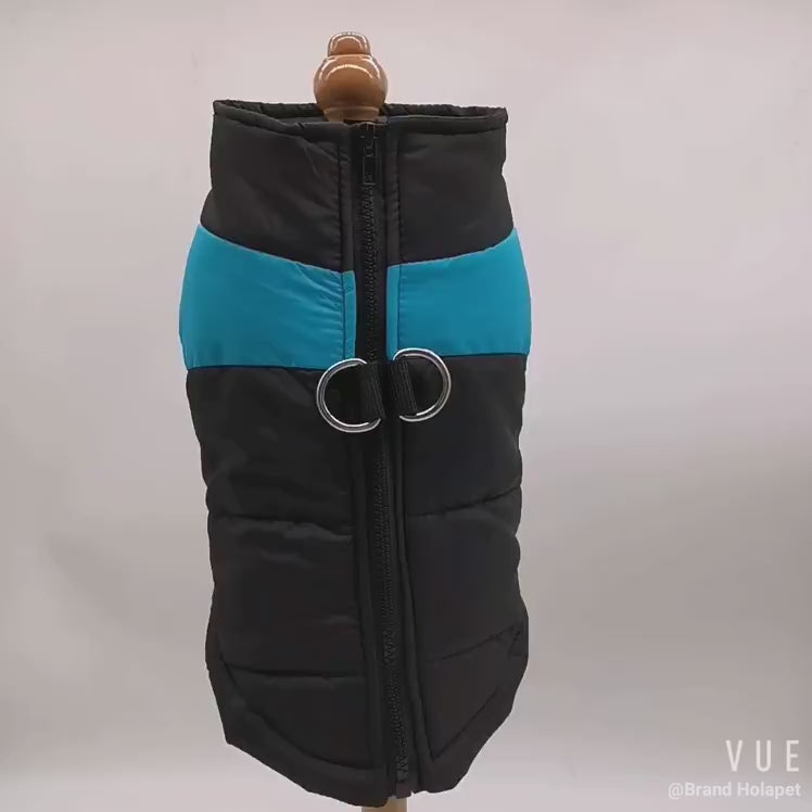 Manteau Chien | La Veste Bicolore