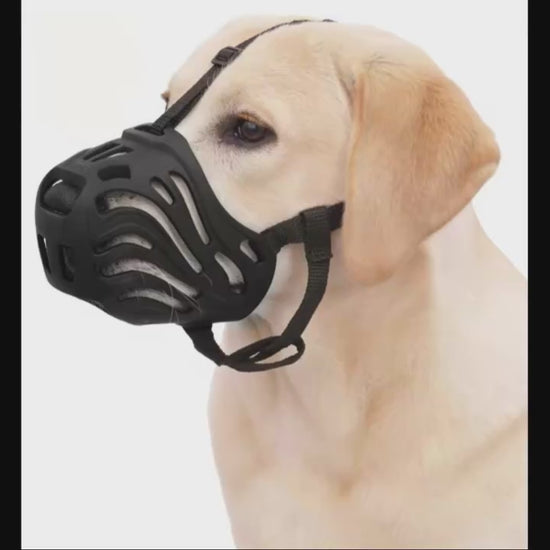 Muselière pour Chien | Type Lupoïde 