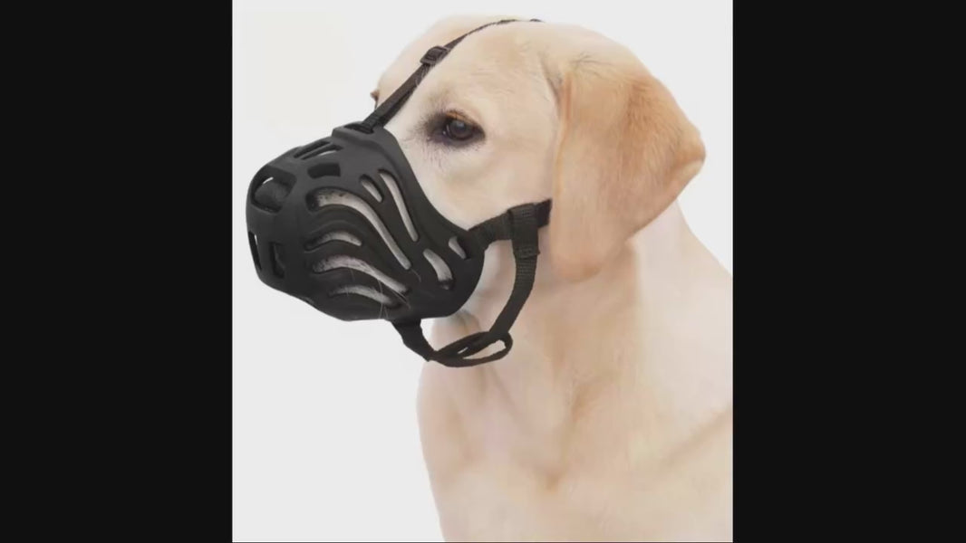 Muselière pour Chien | Type Lupoïde 