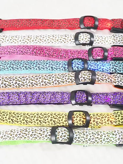 Collier lumineux pour Chien | Bright Night