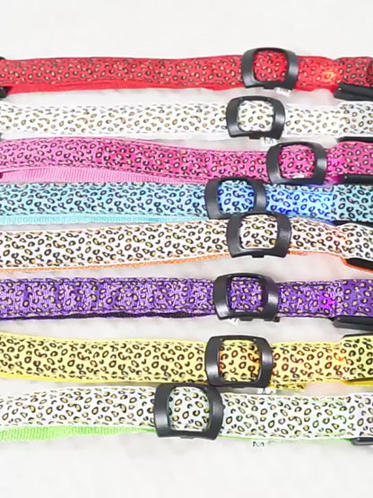 Collier lumineux pour Chien | Bright Night