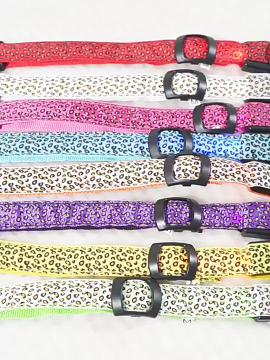 Collier lumineux pour Chien | Bright Night