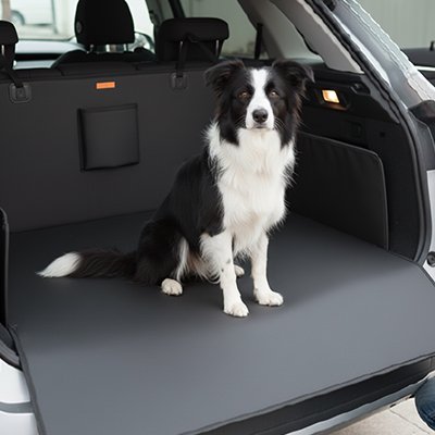Protection chien voiture | Border collie-2