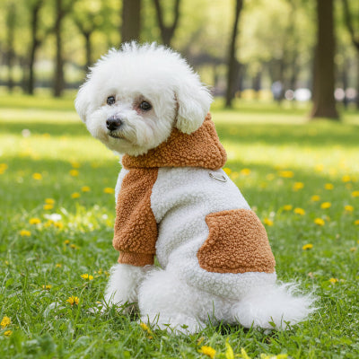 Pull Chien | Polaire Berbère- Caramel- Bichon-3