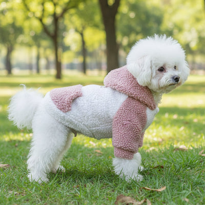 Pull Chien | Polaire Berbère- Rose- Bichon