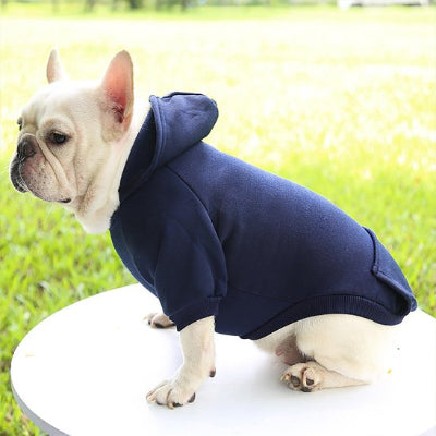 Pull pour Chien | Le Cotton Ouaté- Bleu Marine- Bouledogue