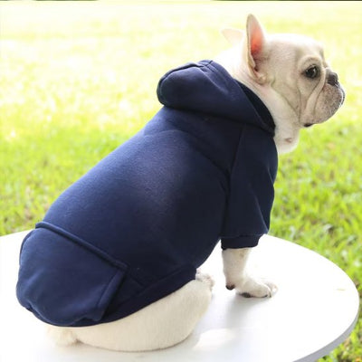 Pull pour Chien | Le Cotton Ouaté- Bleu Marine- Bouledogue-2