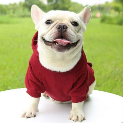 Pull pour Chien | Le Cotton Ouaté- Rouge- Bouledogue