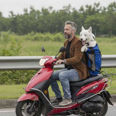 Sac à dos pour Chien | Partout - Jamais sans mon chien