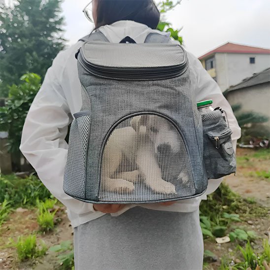 Sac à dos pour chien | Les Tout Petits 2 - Jamais sans mon chien