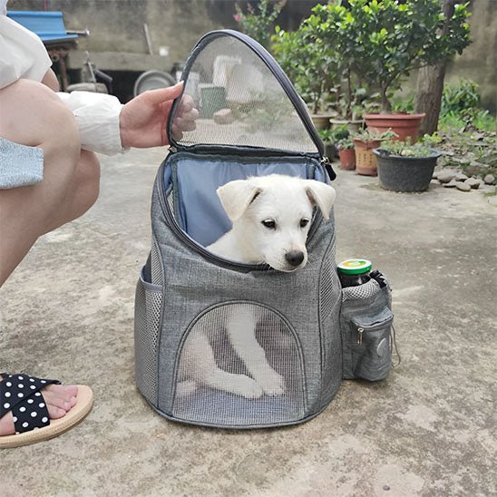 Sac à dos pour chien | Les Tout Petits 2 - Jamais sans mon chien