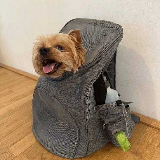 Sac à dos pour chien | Les Tout Petits 2 - Jamais sans mon chien