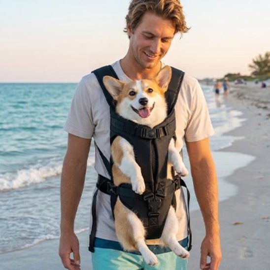 Sac de transport pour Chien | Belly Pack - Jamais sans mon chien