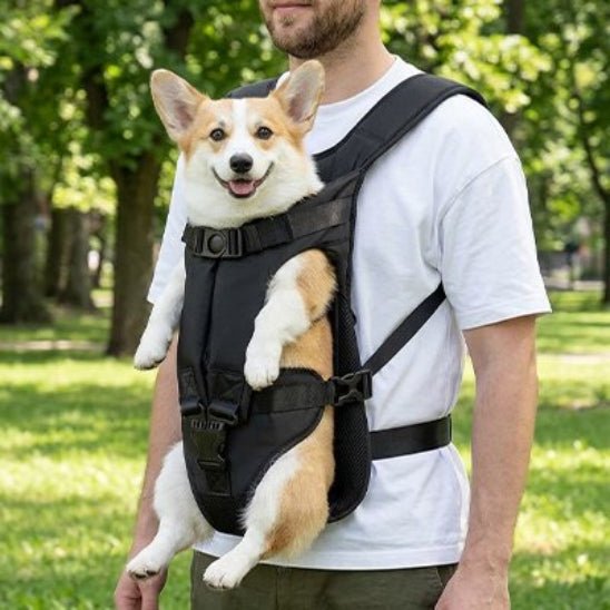 Sac de transport pour Chien | Belly Pack - Jamais sans mon chien