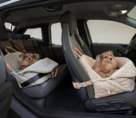 Sac de transport pour chien | Nid Douillet - Jamais sans mon chien