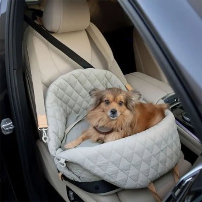 Sac de transport pour chien | Nid Douillet - Jamais sans mon chien