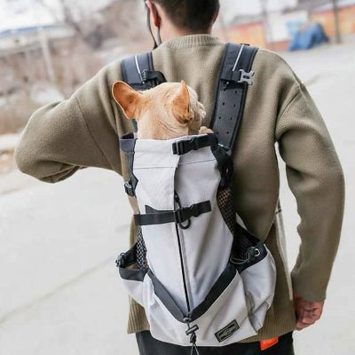 Sac à dos pour Chien | Partout - Jamais sans mon chien